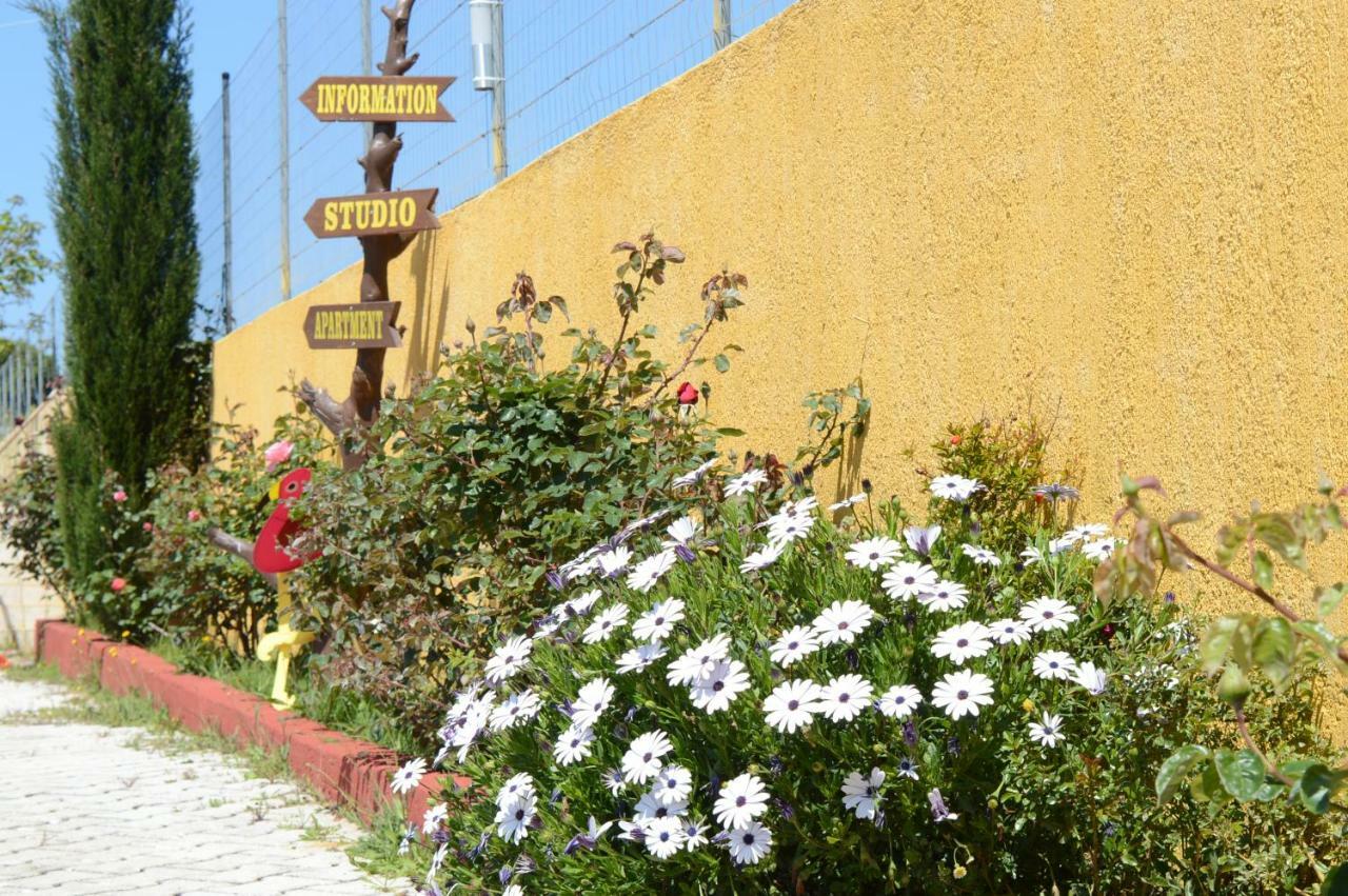 Acqui Villa アルゴストリオン エクステリア 写真